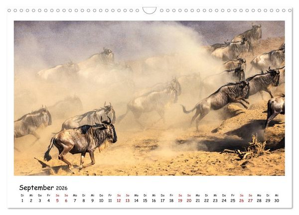 Produktbild: Tierparadies Kenia (Wandkalender 2026 DIN A3 quer), CALVENDO Monatskalender
