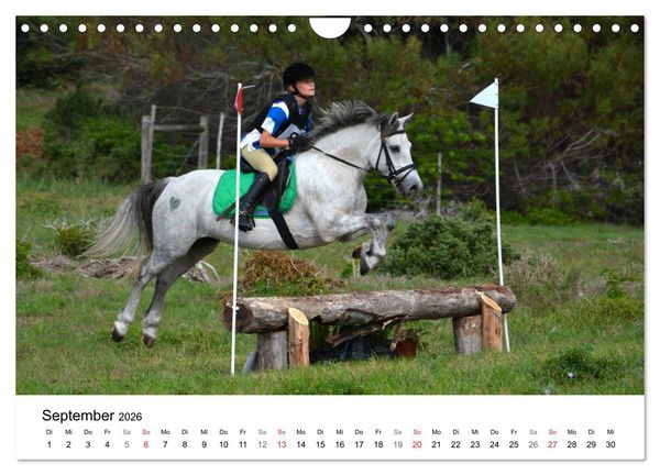 Produktbild: Vielseitigkeitsreiten (Wandkalender 2026 DIN A4 quer), CALVENDO Monatskalender