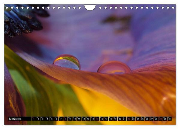 Produktbild: Wassertropfen - Diamanten des Lebens (Wandkalender 2026 DIN A4 quer), CALVENDO Monatskalender