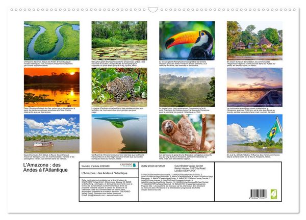 Produktbild: L'Amazone : des Andes &agrave; l'Atlantique (Calendrier mural 2027 DIN A2 vertical), CALVENDO calendrier mensuel