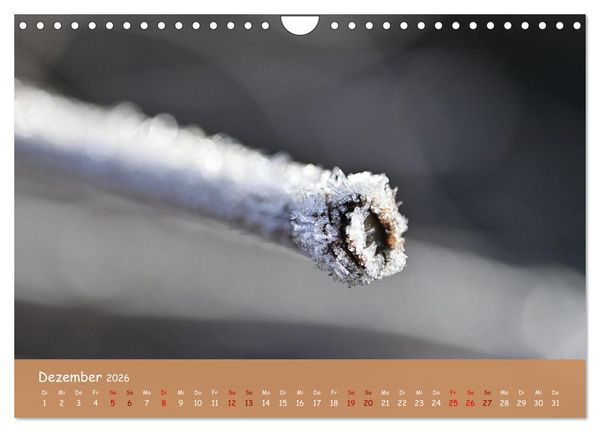 Produktbild: Der Zauber steckt immer im Detail (Wandkalender 2026 DIN A4 quer), CALVENDO Monatskalender