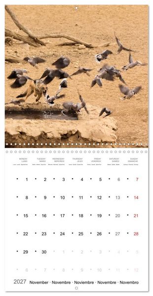 Produktbild: Adventure South Africa 2027 (Wall Calendar 2027 12 &times; 12 Inch) CALVENDO 12 Month Wall Calendar