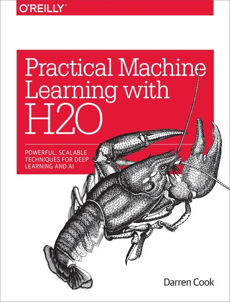 Produktbild: Practical Machine Learning with H2O