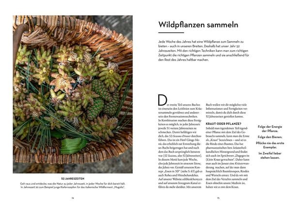 Produktbild: 52 wilde Fermente