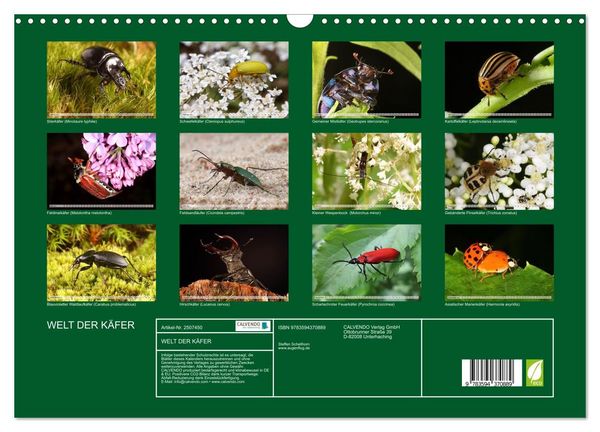 Produktbild: WELT DER K&Auml;FER (Wandkalender 2027 DIN A3 quer), CALVENDO Monatskalender