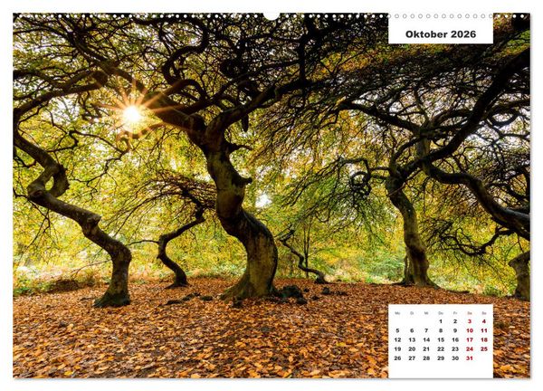 Produktbild: R&uuml;gen Panorama (hochwertiger Premium Wandkalender 2026 DIN A2 quer), Kunstdruck in Hochglanz