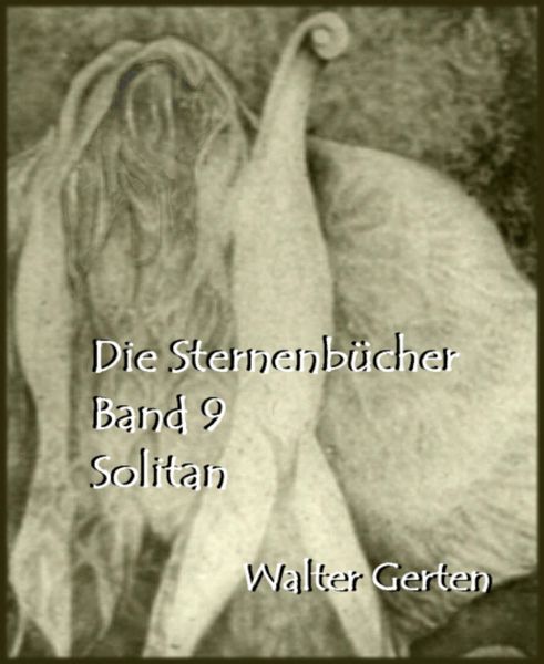 Produktbild: Die Sternenb&uuml;cher Band 9 Solitan