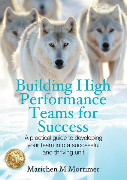 Produktbild: Building High Performance Teams for Success