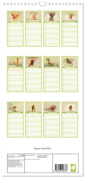 Produktbild: Familienplaner 2026 - Magyar Vizsla 2026 mit 5 Spalten (Wandkalender, 21 x 45 cm) CALVENDO