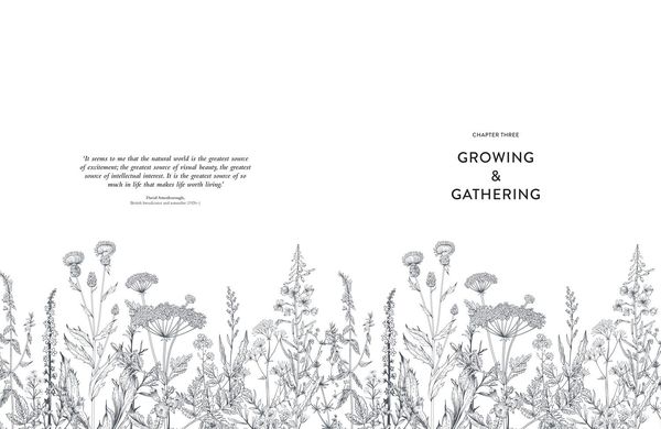 Produktbild: Collins Botanical Bible