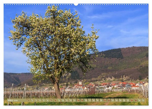 Produktbild: Augenschmaus Pf&auml;lzer Wald (Wandkalender 2026 DIN A2 quer), CALVENDO Monatskalender