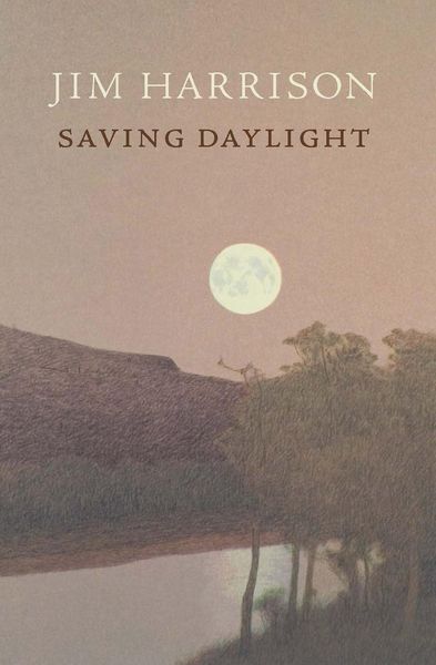 Produktbild: Saving Daylight