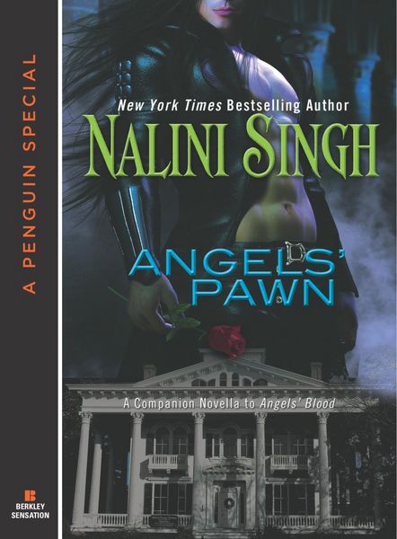 Produktbild: Angels' Pawn