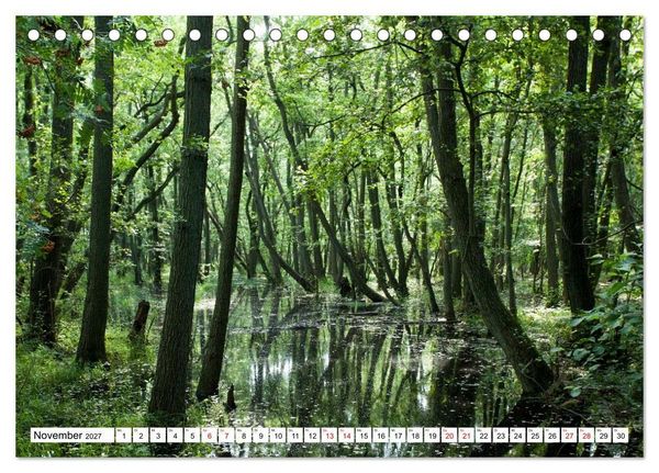 Produktbild: Fischland-Dar&szlig;-Zingst - Momente einer Reise (Tischkalender 2027 DIN A5 quer), CALVENDO Monatskalender