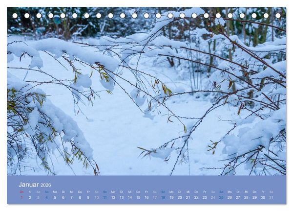 Produktbild: Gartenfl&uuml;stern (Tischkalender 2026 DIN A5 quer), CALVENDO Monatskalender