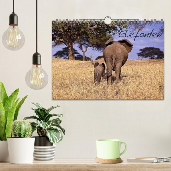 Produktbild: Elefanten (Wandkalender 2027 DIN A4 quer), CALVENDO Monatskalender