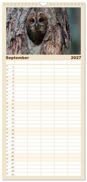 Produktbild: Familienplaner 2027 - Heimische Eulen und Greife mit 5 Spalten (Wandkalender, 21 x 45 cm) CALVENDO