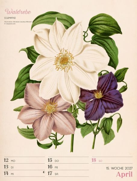 Produktbild: Ars Floralis Wochenplaner Kalender 2027