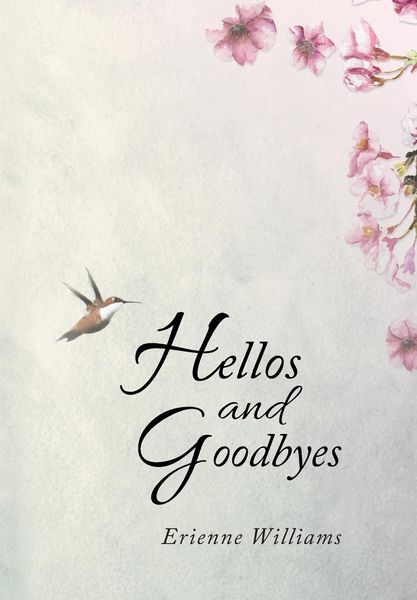 Produktbild: Hellos and Goodbyes