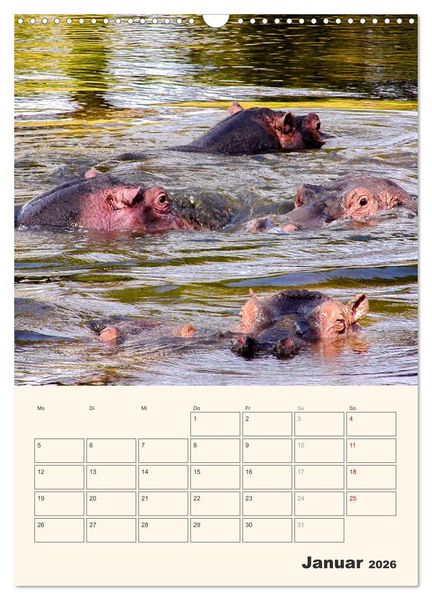 Produktbild: Kenia &ndash; Terminplaner (Wandkalender 2026 DIN A3 hoch), CALVENDO Monatskalender