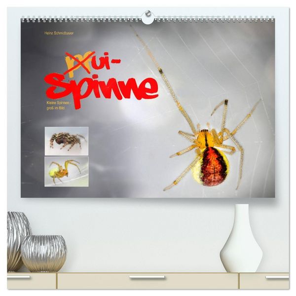 Produktbild: ui - Spinne. Kleine Spinnen - gro&szlig; im Bild (hochwertiger Premium Wandkalender 2026 DIN A2 quer), Kunstdruck in Hochglanz
