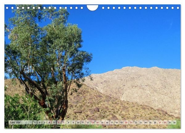 Produktbild: Palm Springs und Umgebung (Wandkalender 2026 DIN A4 quer), CALVENDO Monatskalender