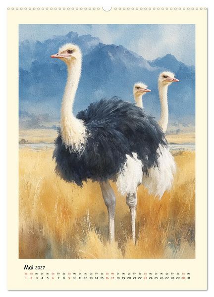 Produktbild: Strau&szlig;e. Afrikas gro&szlig;e Laufv&ouml;gel in Aquarelloptik (Wandkalender 2027 DIN A2 hoch), CALVENDO Monatskalender