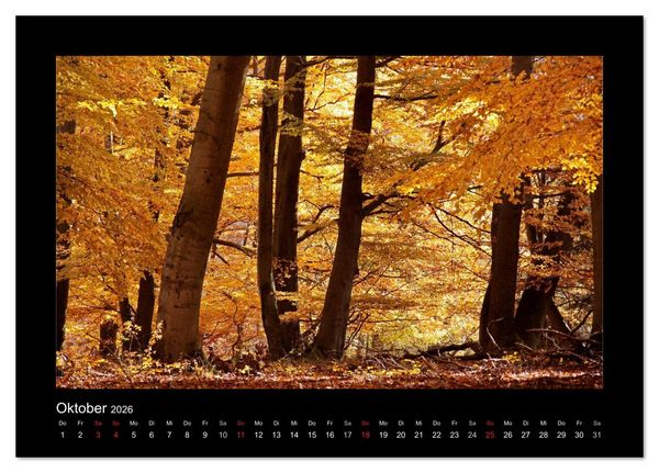 Produktbild: Taunus (Tischkalender 2026 DIN A5 quer), CALVENDO Monatskalender