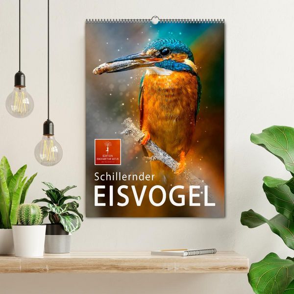 Produktbild: Schillernder Eisvogel (Wandkalender 2026 DIN A2 hoch), CALVENDO Monatskalender