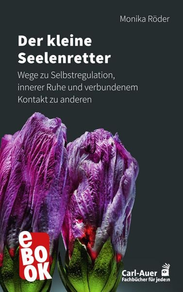 Produktbild: Der kleine Seelenretter