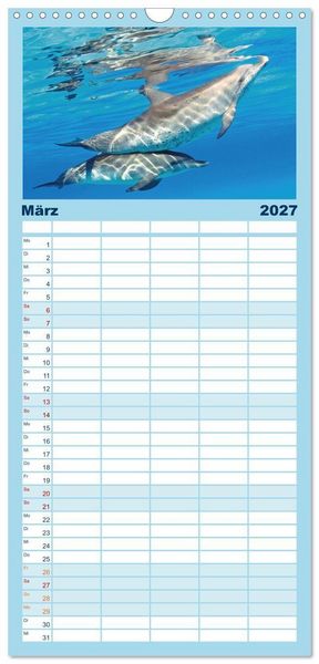 Produktbild: Familienplaner 2027 - Delfine: Elegante Wellenreiter mit 5 Spalten (Wandkalender, 21 x 45 cm) CALVENDO