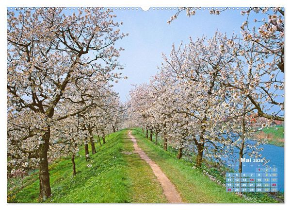 Produktbild: Alleen: Der Weg ist das Ziel (hochwertiger Premium Wandkalender 2026 DIN A2 quer), Kunstdruck in Hochglanz