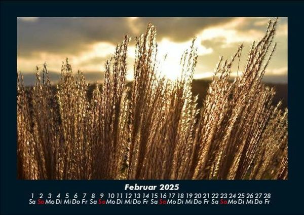 Produktbild: Bilder der Natur 2025 Fotokalender DIN A5