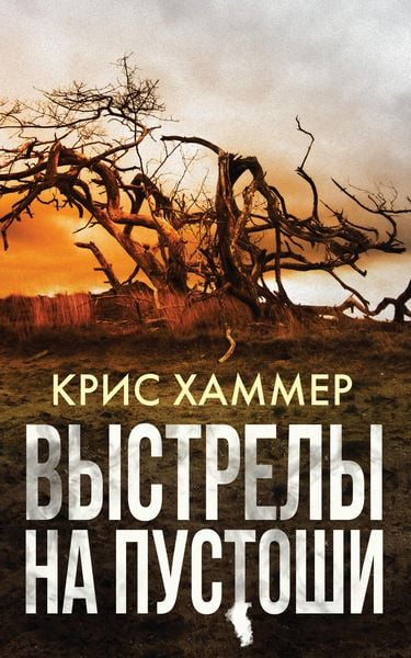 Produktbild: Vystrely na pustoshi