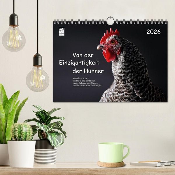 Produktbild: Von der Einzigartigkeit der H&uuml;hner 2026 (Wandkalender 2026 DIN A4 quer), CALVENDO Monatskalender