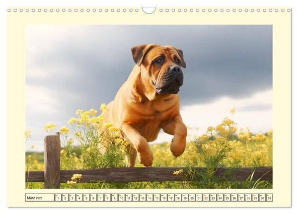 Produktbild: Der Tosa Inu. Japans legend&auml;rer Mastiff (Wandkalender 2026 DIN A3 quer), CALVENDO Monatskalender