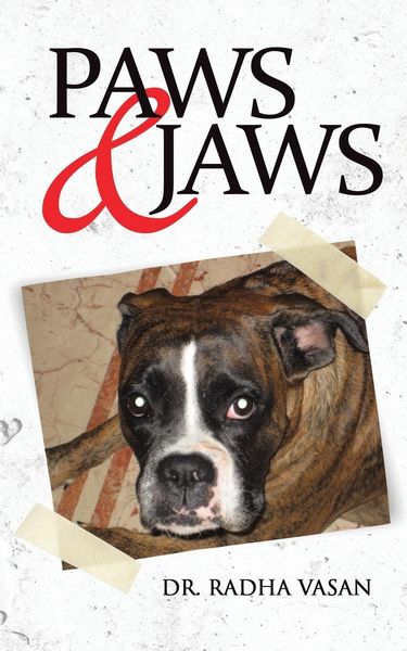 Produktbild: Paws & Jaws