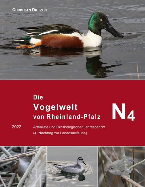 Produktbild: Die Vogelwelt von Rheinland-Pfalz N4