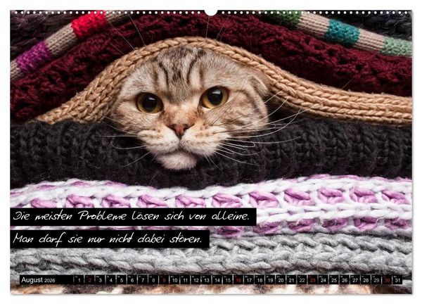 Produktbild: Der "philosophische" Katzenkalender 2026 (hochwertiger Premium Wandkalender 2026 DIN A2 quer), Kunstdruck in Hochglanz