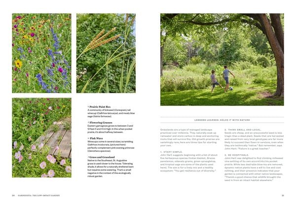 Produktbild: Gardenista: The Low-Impact Garden