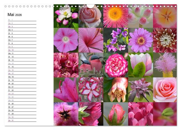 Produktbild: Farbenkaleidoskop (Wandkalender 2026 DIN A3 quer), CALVENDO Monatskalender