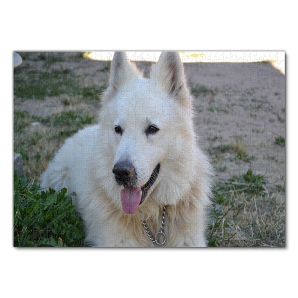 Produktbild: Lais Puzzle Schweizer Sch&auml;ferhund 1000 Teile