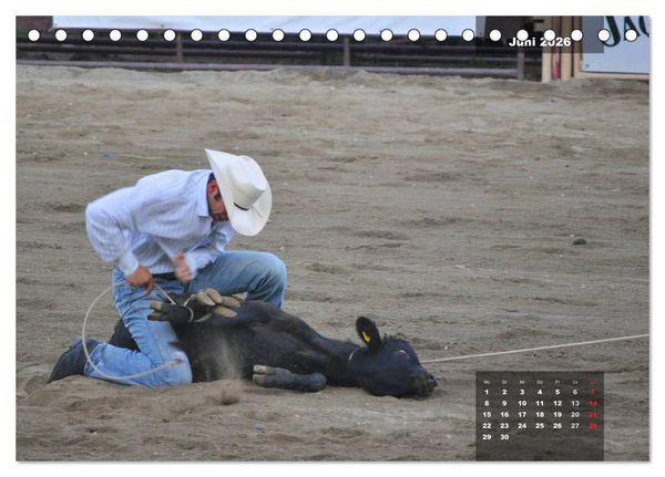 Produktbild: Faszination Rodeo (Tischkalender 2026 DIN A5 quer), CALVENDO Monatskalender