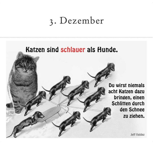 Produktbild: Der literarische Katzen-Adventskalender