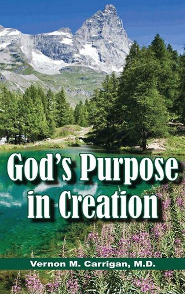 Produktbild: God's Purpose in Creation