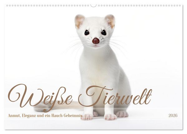 Produktbild: Wei&szlig;e Tierwelt (Wandkalender 2026 DIN A2 quer), CALVENDO Monatskalender