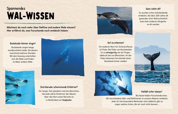 Produktbild: Sind Wale kl&uuml;ger als Menschen? (Gute Frage!)