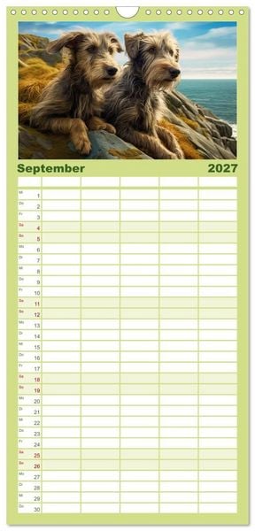 Produktbild: Familienplaner 2027 - Lurcher Portraits - Zwei Welpen entdecken die Welt mit 5 Spalten (Wandkalender, 21 x 45 cm) CALVENDO
