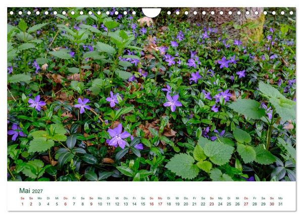 Produktbild: Feldaisttal bei Pregarten (Wandkalender 2027 DIN A4 quer), CALVENDO Monatskalender