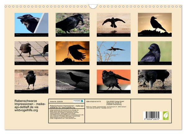 Produktbild: Rabenschwarze Impressionen - meike-ajo-dettlaff.de via wildvogelhlfe.org (Wandkalender 2026 DIN A3 quer), CALVENDO Monatskalender